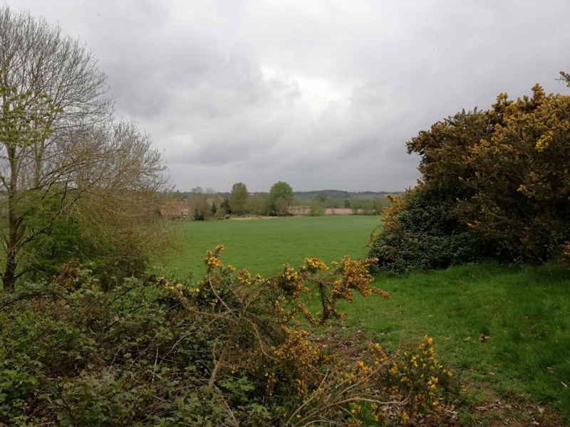 800x600 pixels (203K)